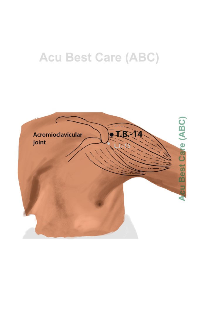 Acubestcare Meridian TW-14 or TB-14